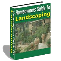 Rockfeatures-how-to-dvd-free-ebook-with-dvd